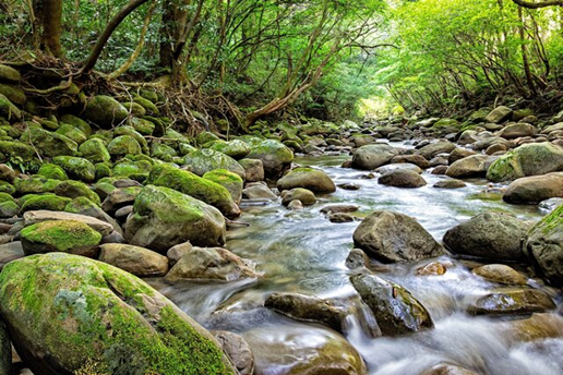 فعل و انفعالات در جهان هستی در راستای رسیدن به تعادل