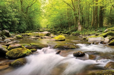 جریان آب در طبیعت