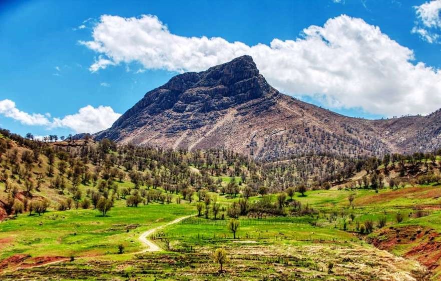 قالی‌های بختیاری بسیار مورد توجه کلکسیونرها هستند