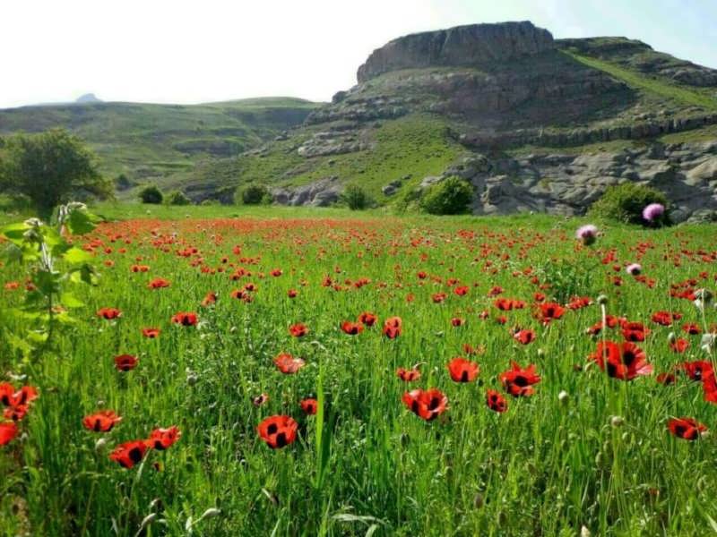 ویژگی ادبیات استان آمیختگی بی نظیر زبان پارسی و قزوینی است