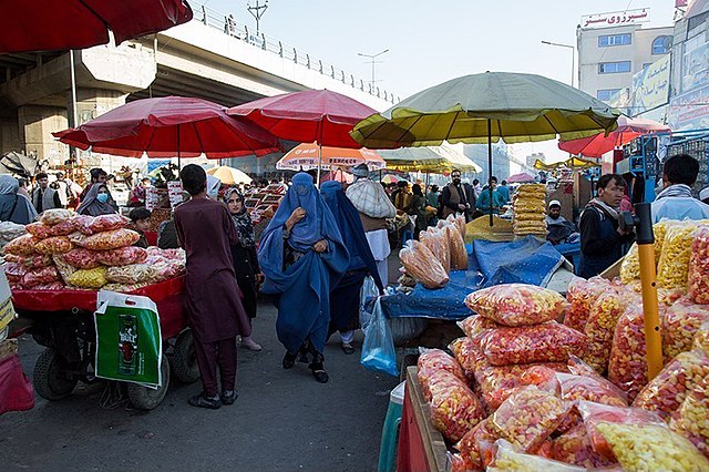جشنواره ها را برگزار کنند و تبادلات آموزشی بین دانشجویان و متخصصان را ترویج دهند.